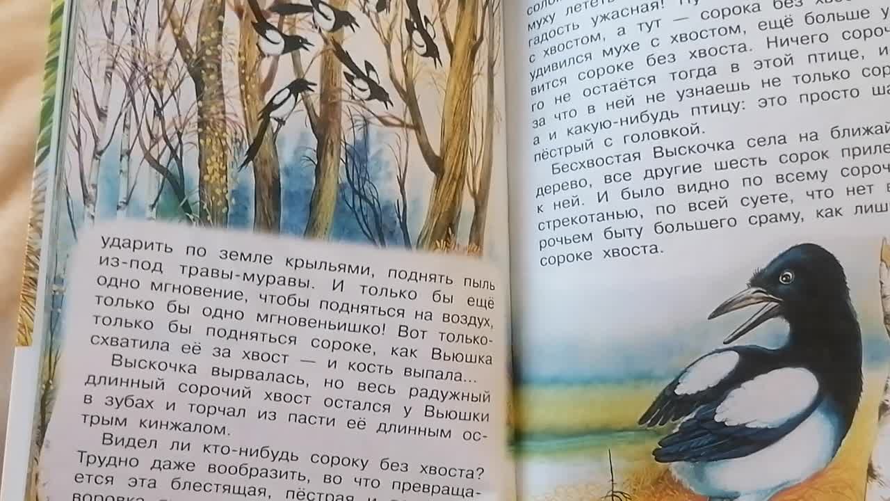 Выскочка читать 4 класс. Выскочка пришвин читать. Рисунок к рассказу выскочка. Рассказ выскочка читать.