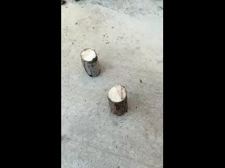 Глупая идея в прямом и переносном смысле. Особенно для леса. Для колки дров тоже так себе. - Сергей Газизов