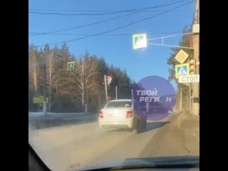 Повезло - не подвез на капоте! В Златоусте водители продолжают надеяться на чудо и пугать пешеходов