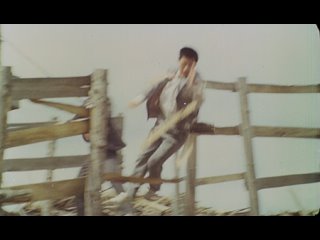 Отмщение в большом мире (Китай, 1989) боевик, боевые искусства, дубляж, советская прокатная копия