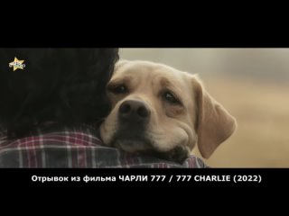 [FANStudio] Отрывок из фильма Чарли777 / 777 Charlie  (2022)