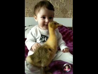 Любовь к животным с детства