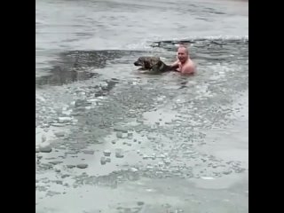 Герой спас собаку из ледяной ловушки