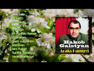Hakob Galstyan - Araks Hamuyt | Армянская музыка | Armenian music | Հայկական երաժշտություն