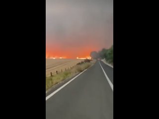 Редкое явление - огненный торнадо в Чили