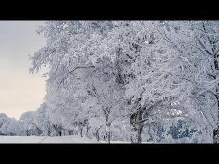 Поль Мориа. Лучшее. Зимняя сказка