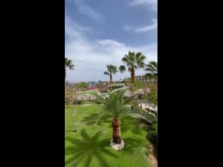 Sunrise Arabian Beach Resort 5*
Египет, Шарм-Эль-Шейх🌴