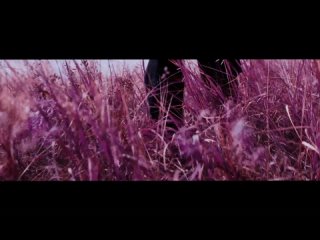 DREZDEN - ЭДЕЛЬВЕЙС (Video Official)