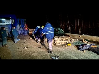 В массовом ДТП погибли двое, а их кошка выжила / Серовский тракт / 28 января