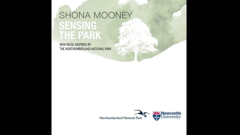 Shona Mooney Sensing the