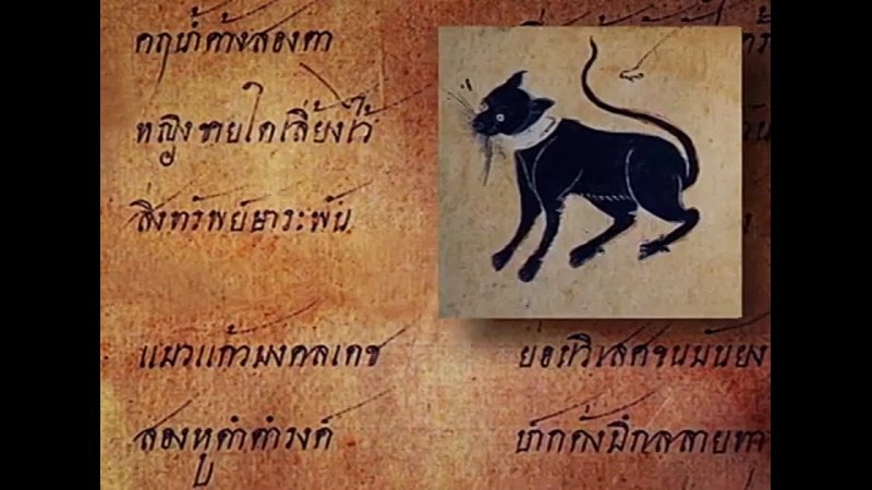 История тайской