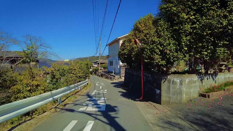 Toris House Walking Around Japanese Countryside ASMR 4