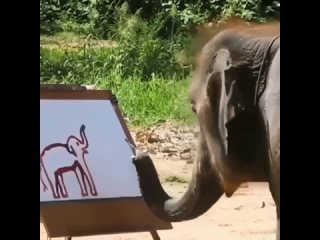 Слон художник
