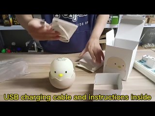 manufacturer of wendadeco New style LED Eggshell Chicken night light in china best price