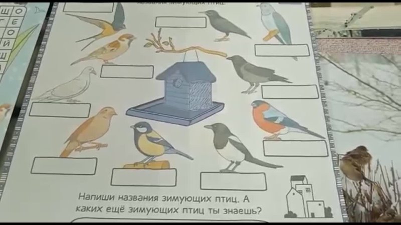 Станиславская Г. Б. Юный натуралист. Птицы