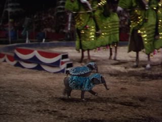 Peterson’s Dogs. Little elephants (The Greatest Show on Earth, 1952)