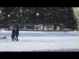 Водитель автомобиля, влетевшего на территорию АЛП, находится в ИВС.