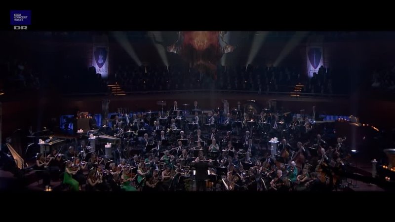 Harrys Wondrous World Harry Potter Danish National Symphony Orchestra (