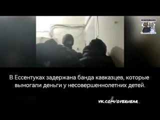 В Ессентуках задержана банда кавказцев, которые вымогали деньги у несовершеннолетних детей