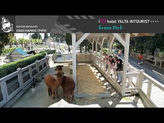 Чем уникален зоопарк Отеля Yalta Intourist_(360P).mp4