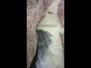 Под Анапой в реку Сукко течет зловонная жижа
