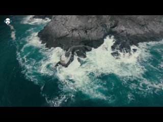 Bossa Nova Beach  - Relaxing Music (1080p)