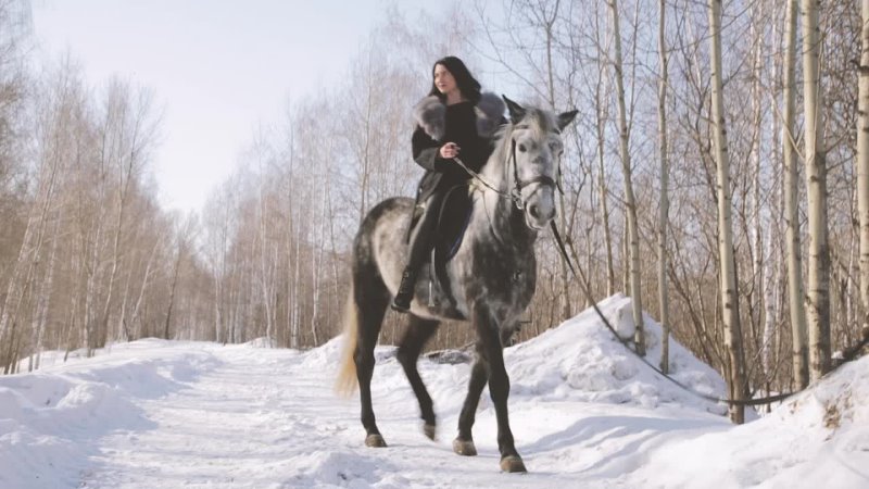 Snow horses Новосибирск (26
