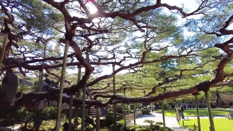 Идеальные японские сады