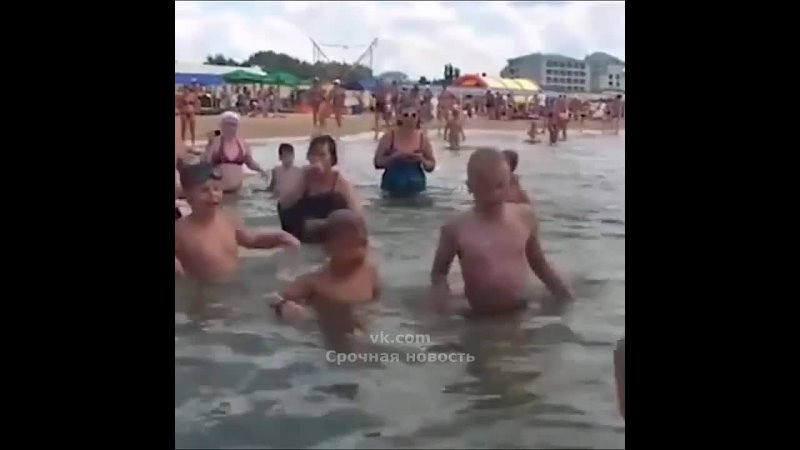 Русские на пляже поймали акулу и стали с ним