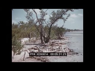 SCHLEY RIDE TO TREASURE ISLAND 1950s VISIT TO PRE-REVOLUTIONARY CUBA PART 3 XD50814 [DCosZiU1e9M]