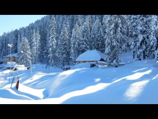 India 2013. Gulmarg.