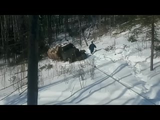 Колун. Сам себя вытягивает своей лебедкой.