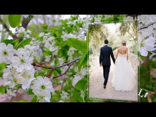 ОЛЕНЬКА (OLENKA)