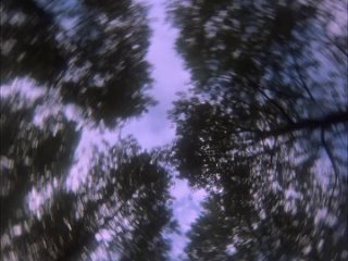 Робин из Шервуда. 2 сезон. 3 серия. Robin of Sherwood. Lord of the Trees (сериал 1985) [720p]