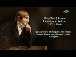 Пьер-Жозеф Редуте - “Рафаэль цветов“. Из цикла “Искусственный отбор“. Эфир  ТК Культура, 2023