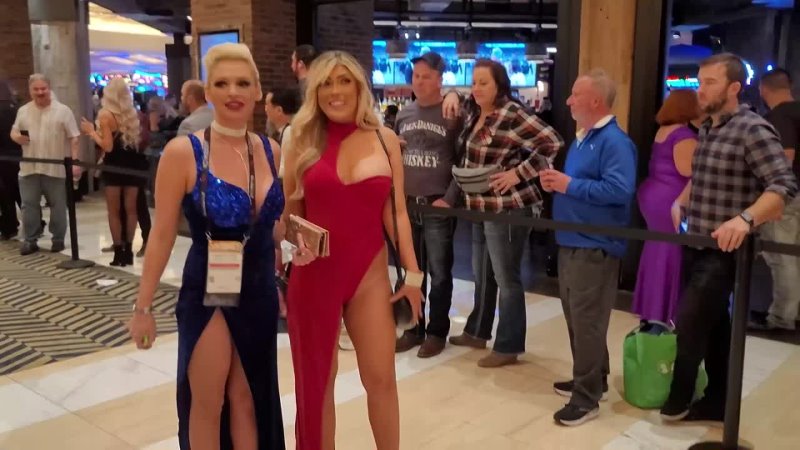 AVN EXPO