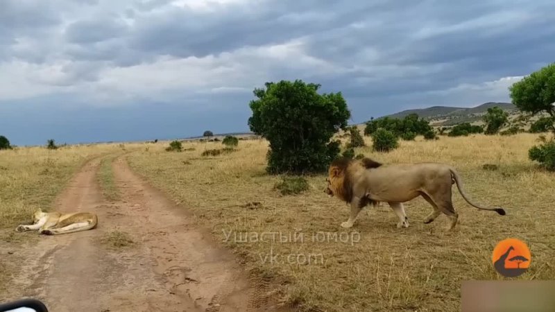 Любовь крадется, но не