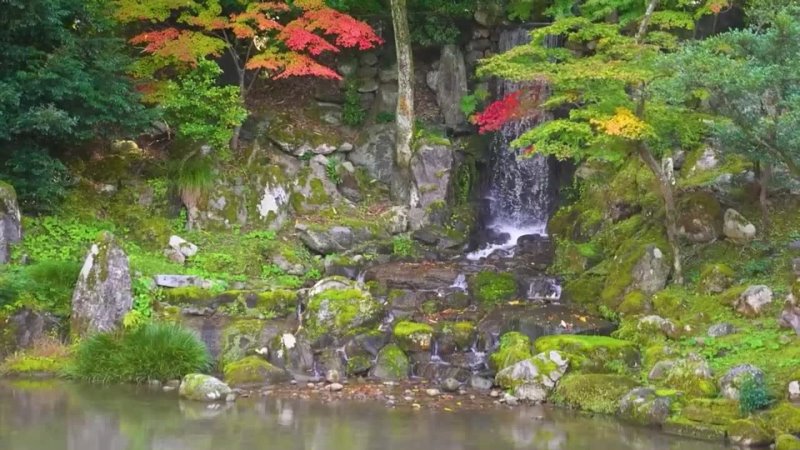 Идеальный японский сад