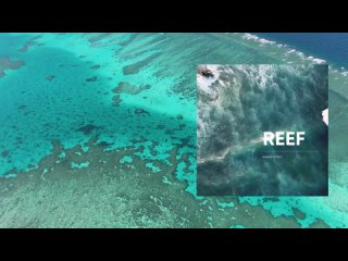 Branovitsky - Reef - Анонс