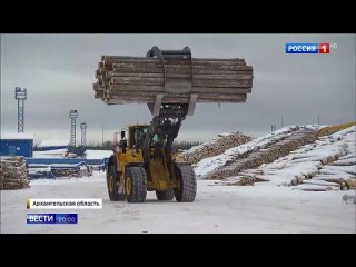 Путин обозначил меры поддержки лесной промышленности