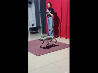 Собака-робот🤖🐕