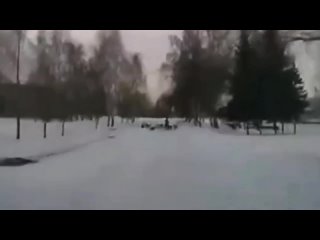 Водитель из Омска спас мальчика от бродячих собак