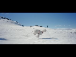 TRACKS - An Arctic Snowboarding Story