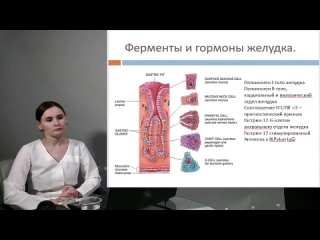 Хронические гастриты: мифы и реальность. Что такое ”гастрит с детства”: эпидемия в России или ошибка диагностики? Н.А. Наумова