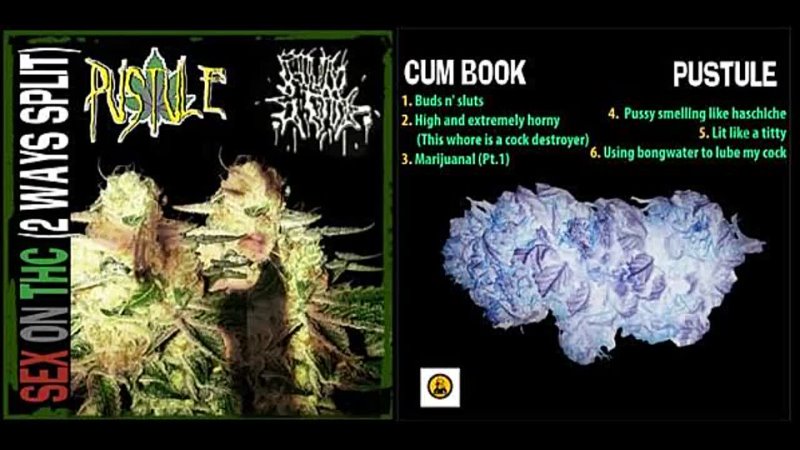 Cum Book, Pustule Sex on THC ( CDr, Album,