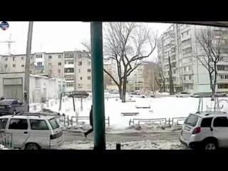 Сперва надо с зоошизой разобраться, которая прикормила их там...