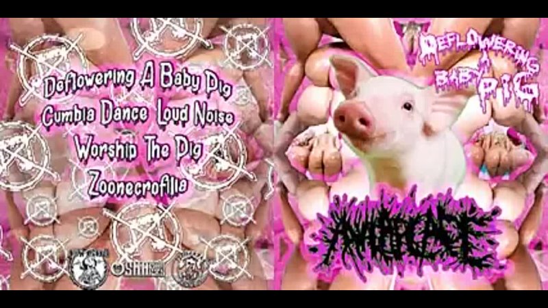 Anal Arcade Deflowering a Baby Pig CD ( PORNOGRIND OLIVIA