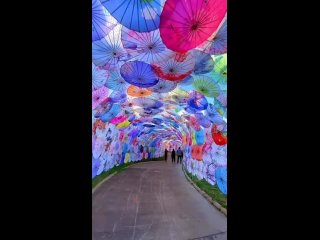 Красивый зонтичный тоннель в городе Цюйцзин, Китай ☂😍✨