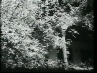 Casa de pe strada noastră (1957)