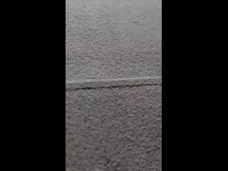 Видео от Рафа Раффа